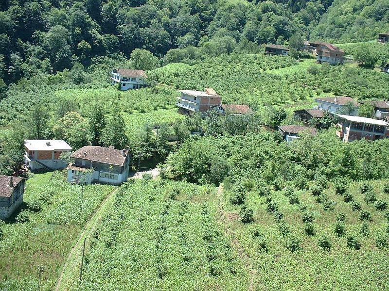 Atakoey Apart Caykara Exterior foto